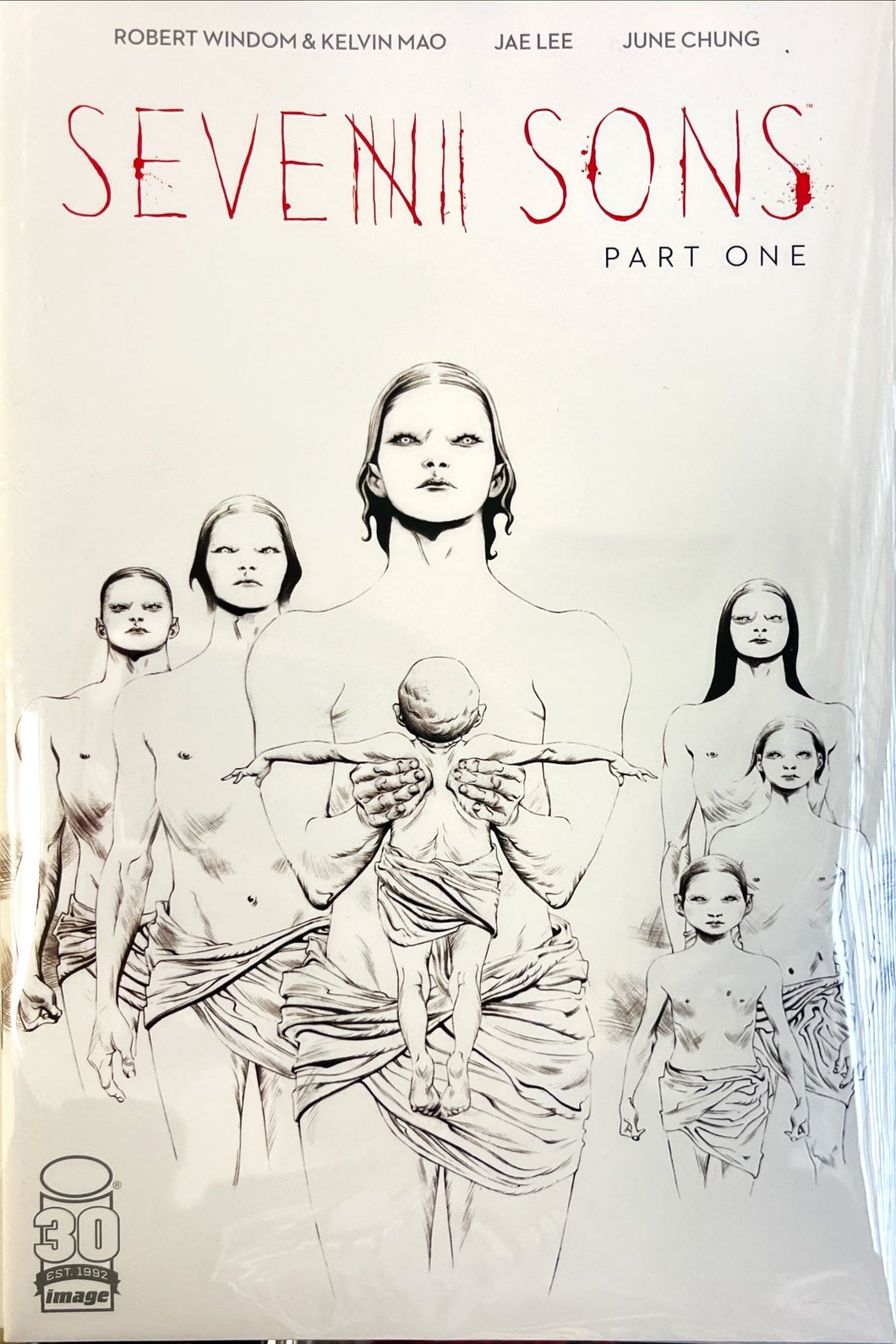 SEVEN SONS #1 (OF 7) CVR C 50 COPY INCV LEE (MR)