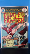Load image into Gallery viewer, KUNG-FU FIGHTER #2
