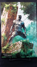 Load image into Gallery viewer, BLACK PANTHER #170
