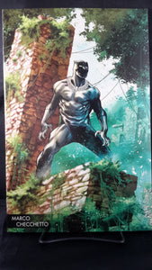 BLACK PANTHER #170