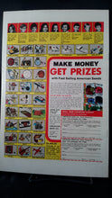 Load image into Gallery viewer, KUNG-FU FIGHTER #15
