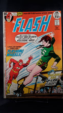 Load image into Gallery viewer, FLASH #211

