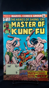 MASTER OF KUNG FU #25
