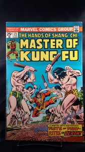 MASTER OF KUNG FU #25