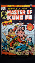 Load image into Gallery viewer, MASTER OF KUNG FU (1974)  #22
