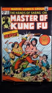 MASTER OF KUNG FU (1974)  #22