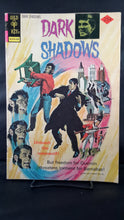 Load image into Gallery viewer, DARK SHADOWS #27
