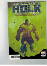 Load image into Gallery viewer, IMMORTAL HULK #25 SORRENTINO VAR

